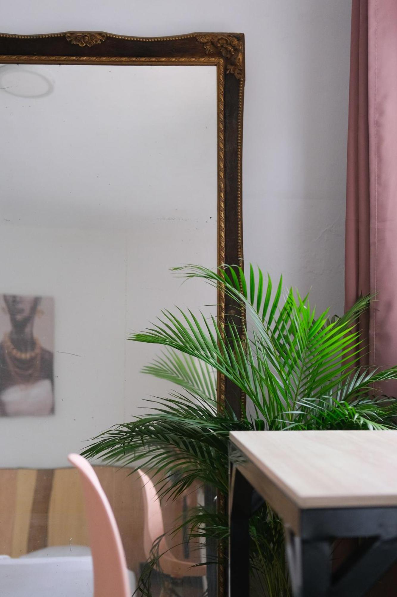 La Palmera Hostel Cali Exteriör bild